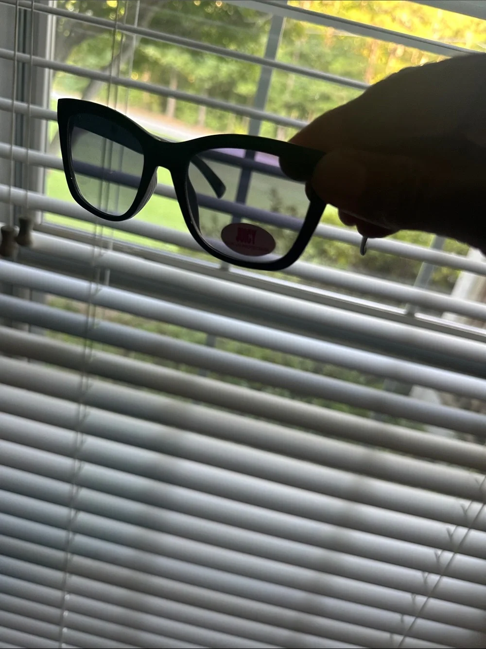 Juicy Couture Black and White Isaac Wayfarer Sunglasses